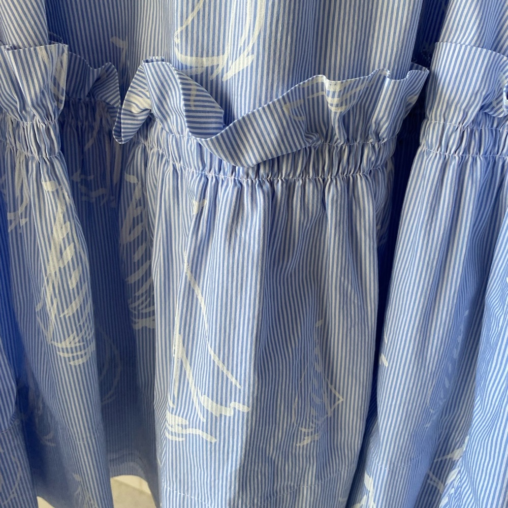 Lilly Pulitzer Blue and White Striped Dress - Picture 4 of 6